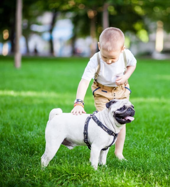 Sugar Pine Apartments in Boise, ID